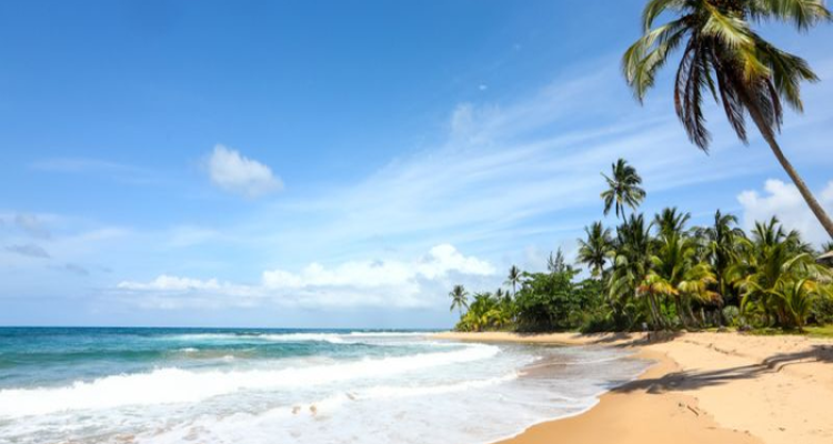 barra_grande_700x600